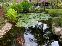 Eastern Lagoon (D15), Condominium #591772611